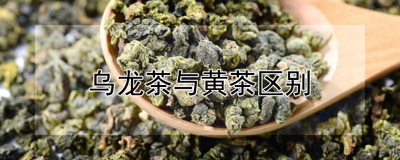 乌龙茶与黄茶区别