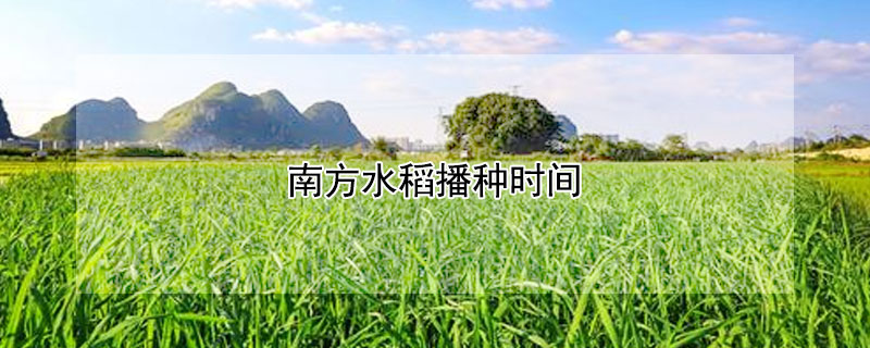 南方水稻播种时间