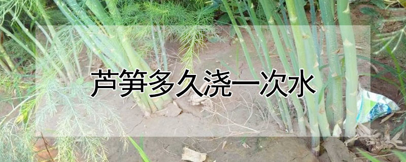 芦笋多久浇一次水 —【发财农业网】