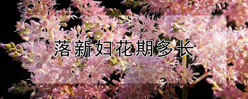 落新妇花期多长