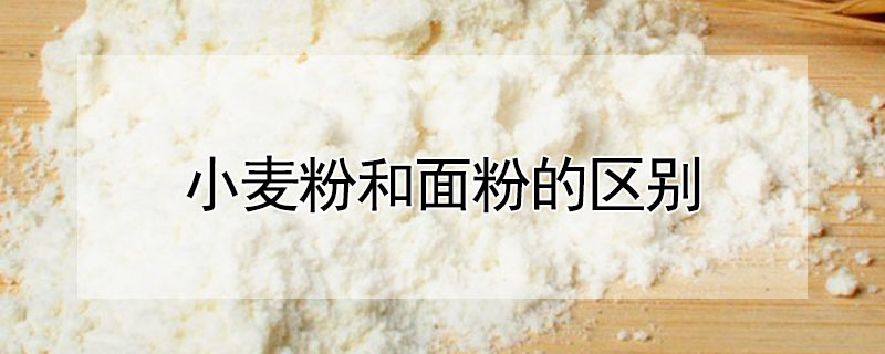 小麦粉和面粉的区别