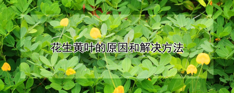http://af0mj.xian46.cn/news/83440275.html