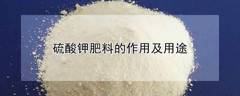 硫酸钾肥料的作用及用途