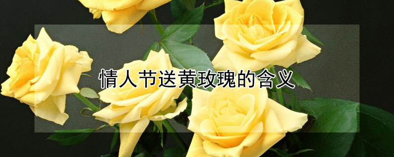 情人节送黄玫瑰的含义