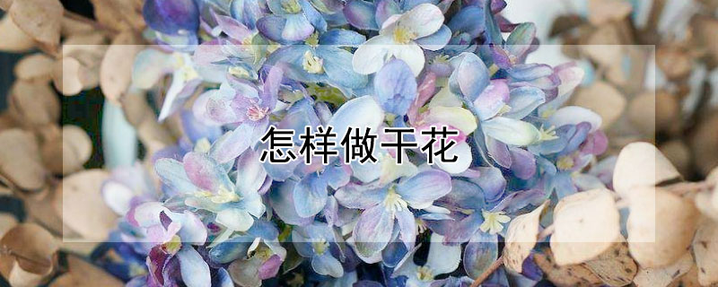 怎样做干花