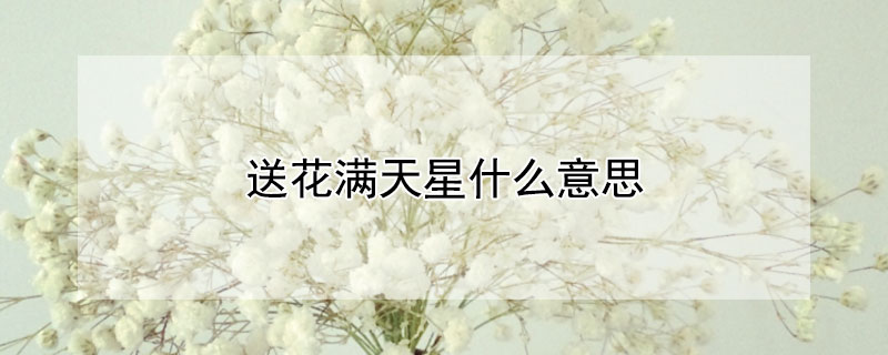 送花满天星什么意思