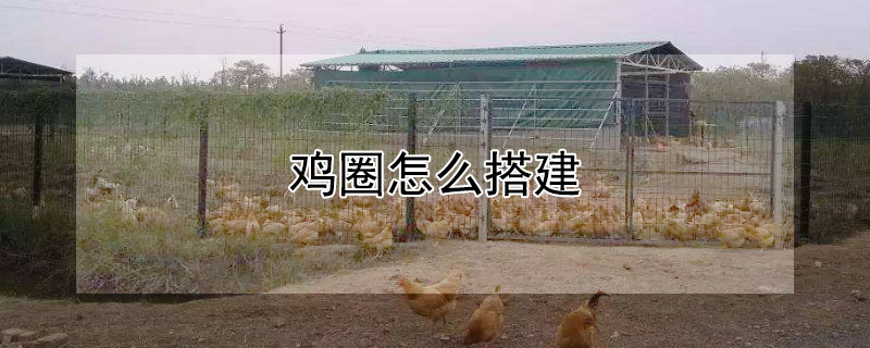 鸡圈怎么搭建