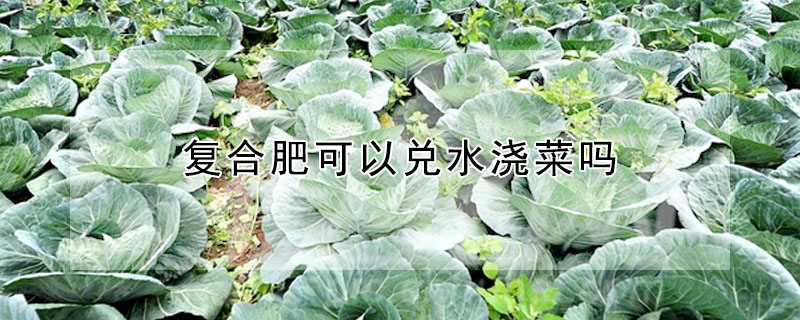 复合肥可以兑水浇菜吗