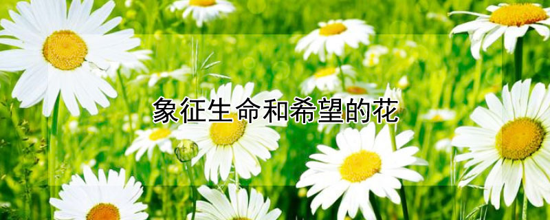 象征生命和希望的花 发财农业网