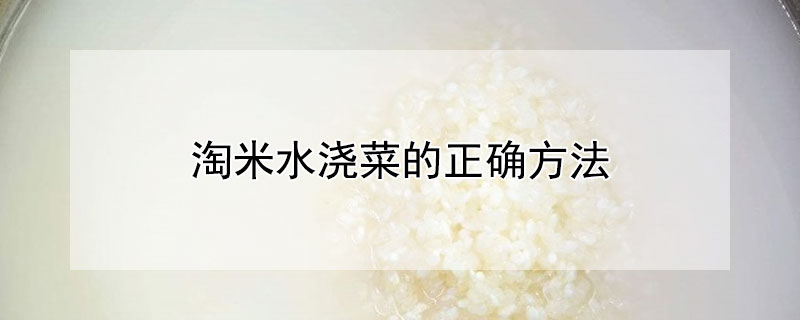 淘米水浇菜的正确方法