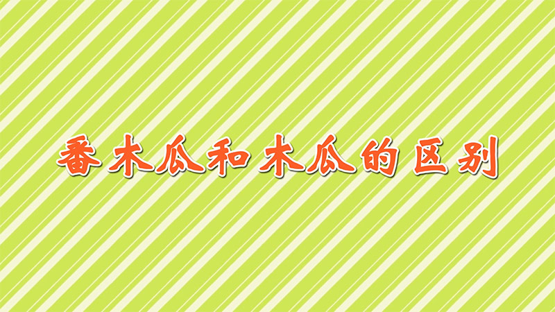 番木瓜和木瓜的区别