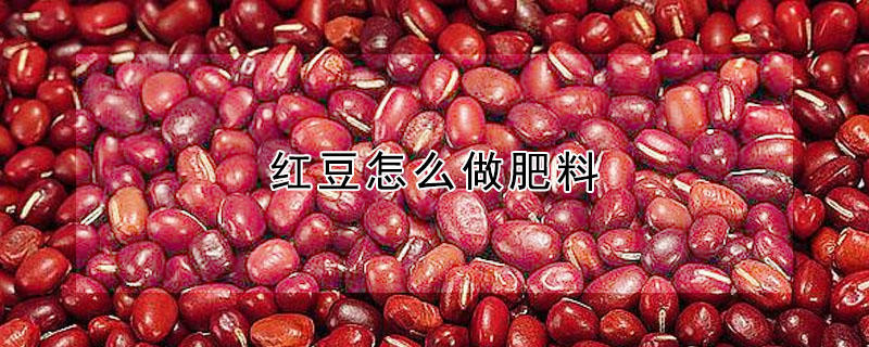 红豆怎么做肥料