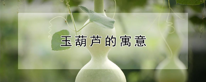 玉葫芦的寓意