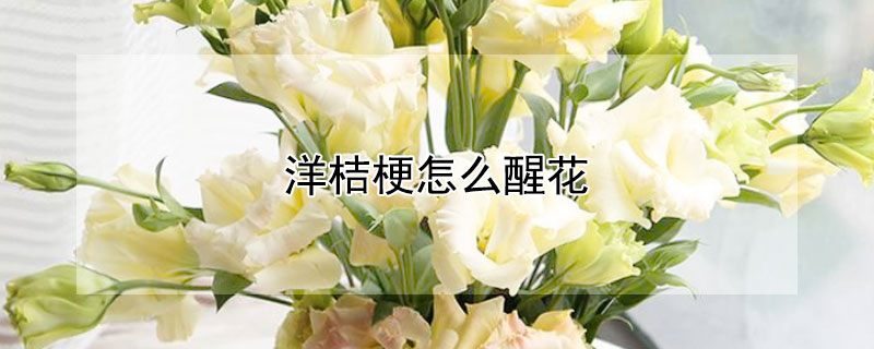 洋桔梗怎么醒花