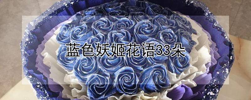 蓝色妖姬花语33朵