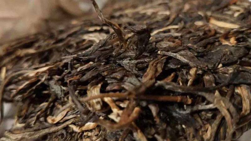 普洱茶的产地在哪 普洱茶的产地哪个最好
