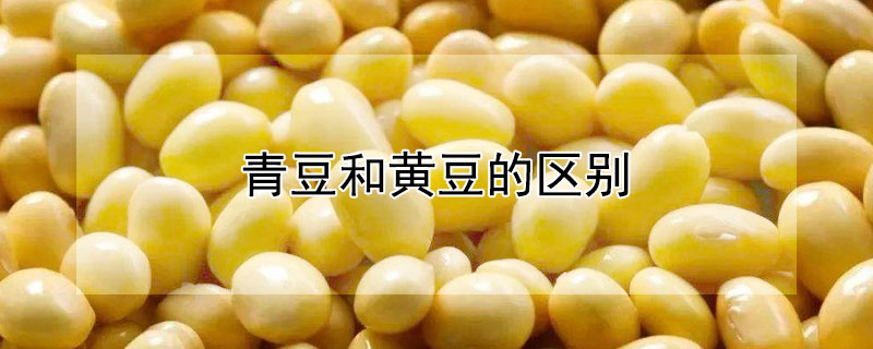 青豆和黄豆的区别 —【发财农业网】