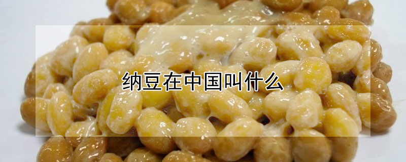 纳豆在中国叫什么
