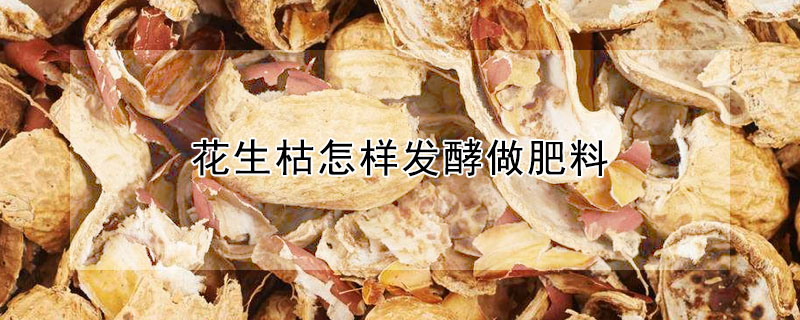 花生枯怎样发酵做肥料