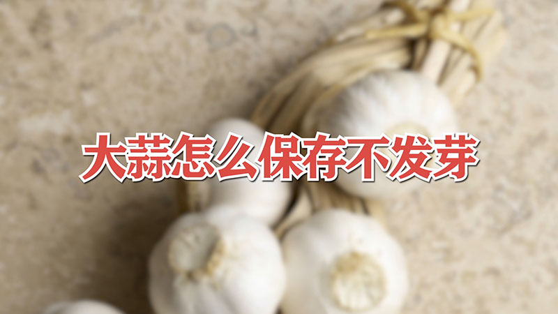 大蒜怎么保存不发芽