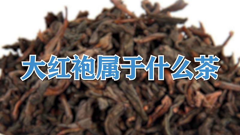 大红袍属于什么茶