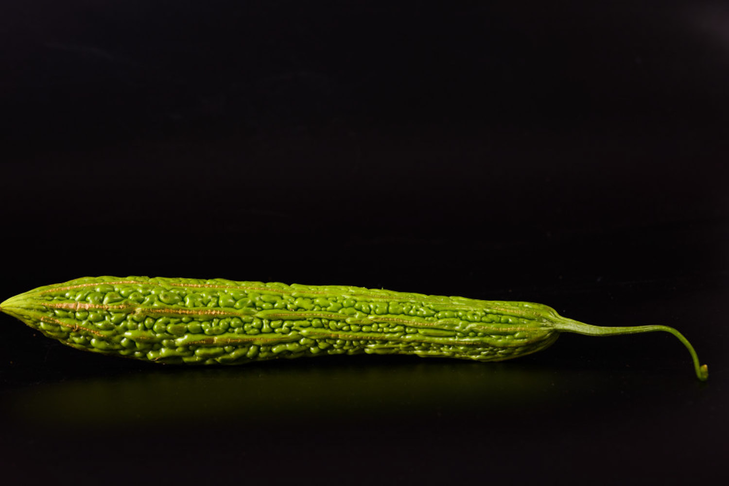 阳台种植苦瓜的方法