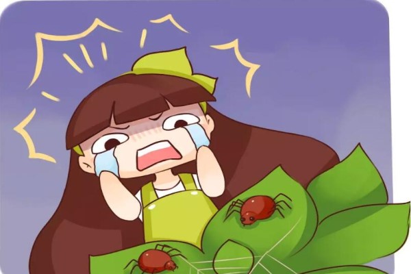 <strong>随手撒把灰，虫子全死光，花猛蹿狂长开爆盆!</strong>