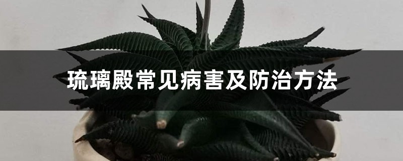 <b>琉璃殿常见病害及防治方法</b>