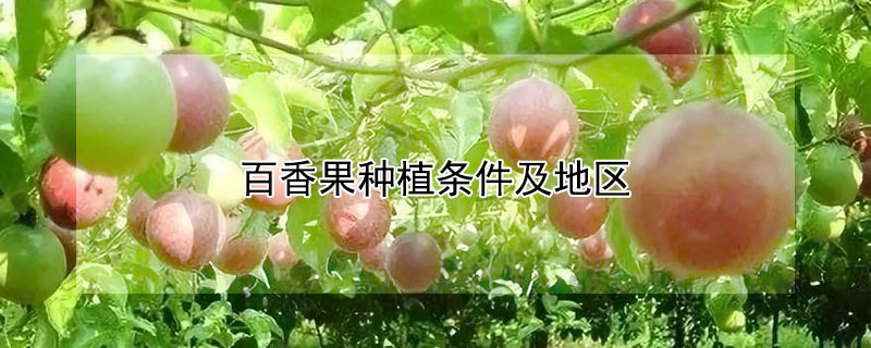 百香果种植条件及地区