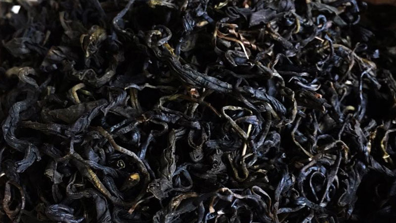 安化黑茶属于什么茶