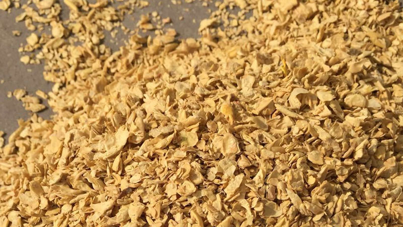 朝阳区热心网友科普：深入了解什么是豆粕及其应用