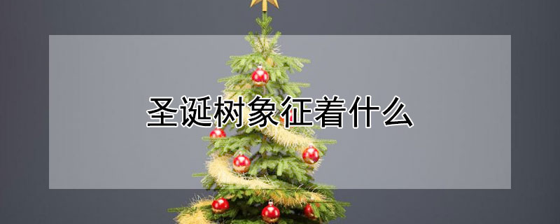 圣诞树象征着什么