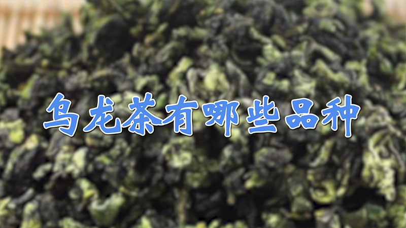 乌龙茶有哪些品种