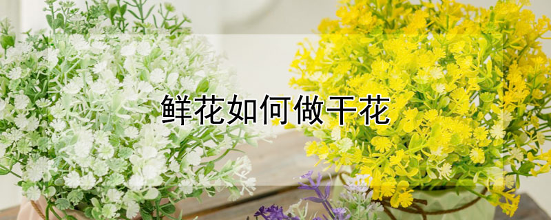 鲜花如何做干花