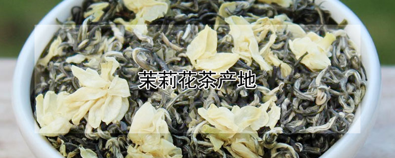 茉莉花茶产地