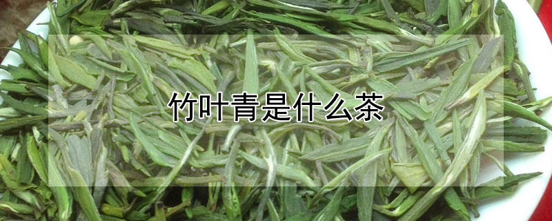 竹叶青是什么茶