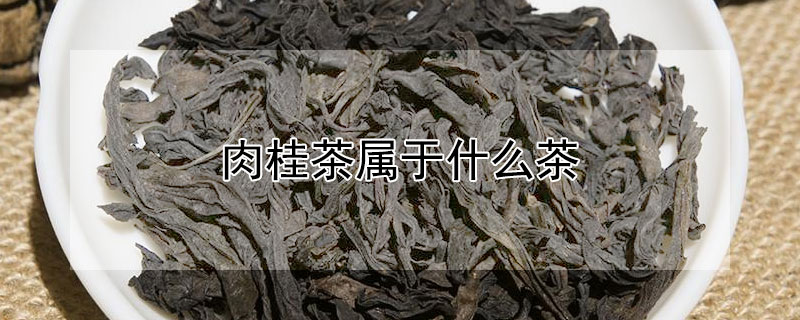 肉桂茶属于什么茶 —【发财农业网】