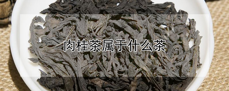 肉桂茶属于什么茶