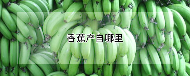 香蕉产自哪里