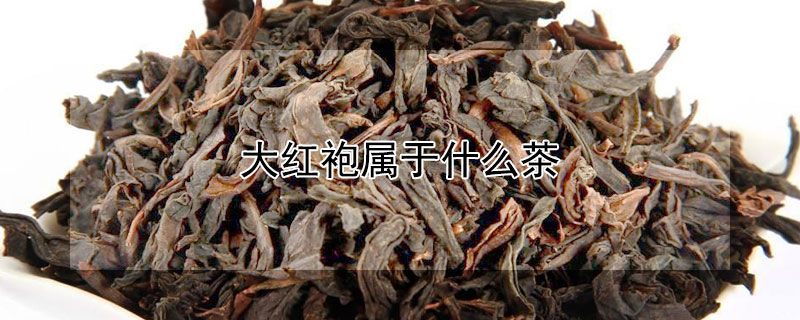 大红袍属于什么茶