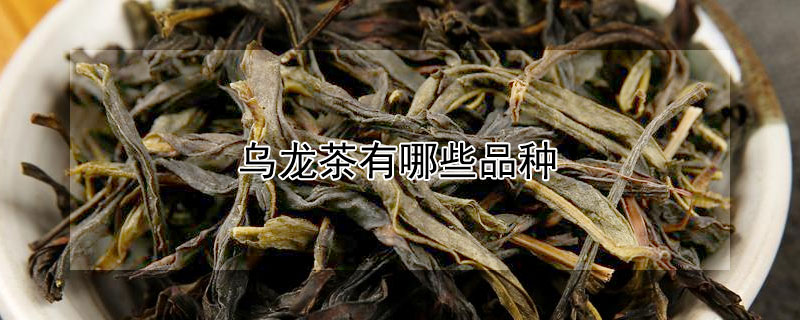 乌龙茶有哪些品种