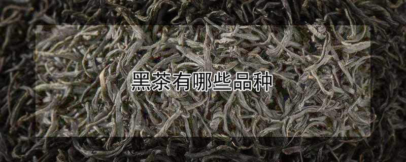 黑茶有哪些品种