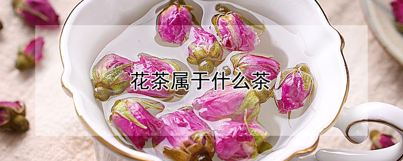 花茶属于什么茶