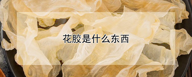 花胶是什么东西