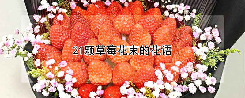 21颗草莓花束的花语