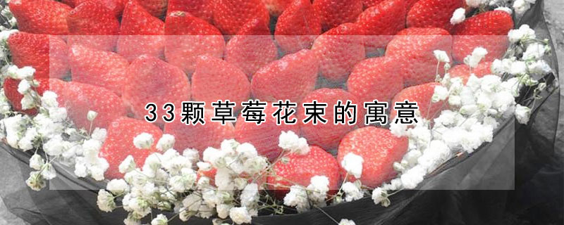 33颗草莓花束的寓意