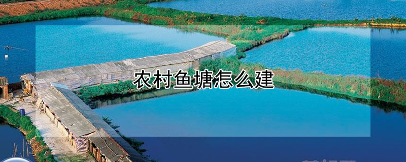 农村鱼塘怎么建