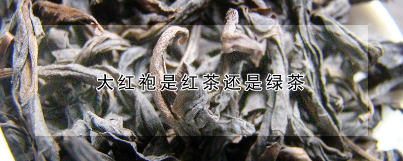 大红袍是红茶还是绿茶