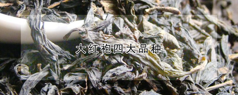 大红袍四大品种