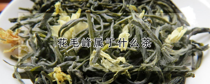 花毛峰属于什么茶